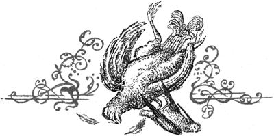 Алексей Сицко, Михаил Блюм и др. - Советы начинающему охотнику