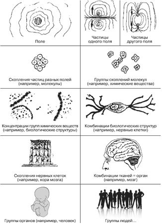 Роберт Дилтс, Джудит Делозье - НЛП-2: поколение Next