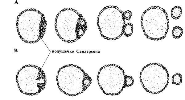 Андрей Ушаков - Восстановление щитовидной железыРуководство для пациентов