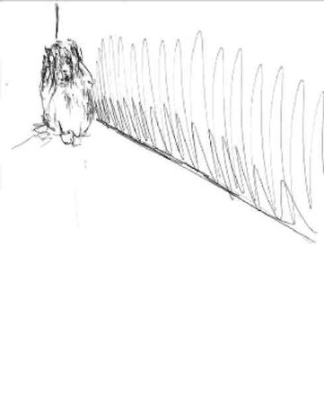 Анастасия Черкасова - Палочки на песке (сборник)