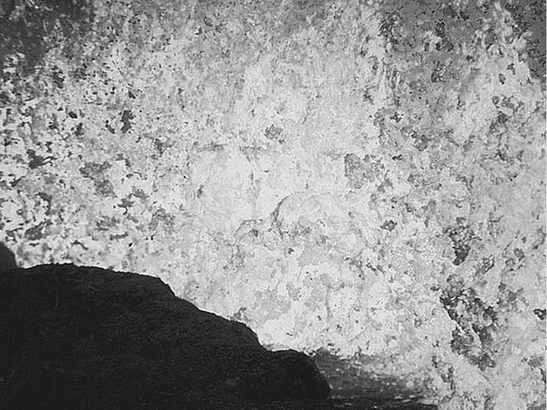 Николай Непомнящий - 100 великих загадок природы