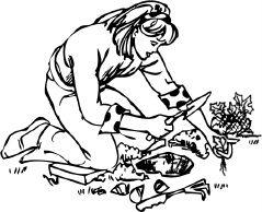 Анна Зорина - Календарь умного садовода и огородника