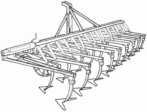 Ольга Шумахер, Оксана Петросян - Борьба с сорняками