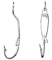 Леонид Сабанеев - Жизнь и ловля пресноводных рыб