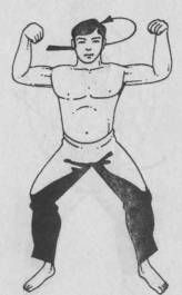 Николай Шерстенников - Семь горизонтов Силы