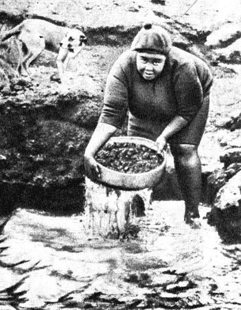 Фред Меркс - В поисках "голубой земли"