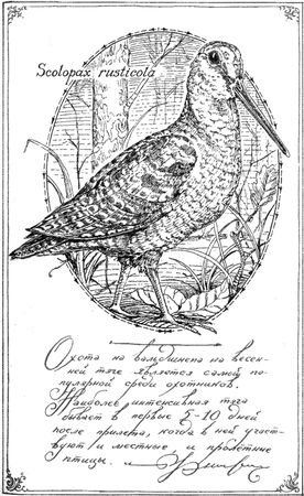 Алексей Сицко, Михаил Блюм и др. - Советы начинающему охотнику