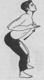 Николай Шерстенников - Семь горизонтов Силы