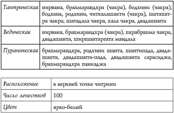 Сан Лайт - Чакры - энергии жизненных сфер. Работа с внутренним космосом