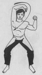 Николай Шерстенников - Семь горизонтов Силы