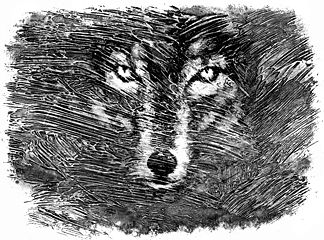 Кирилл Алейников - Дар речи (сборник)