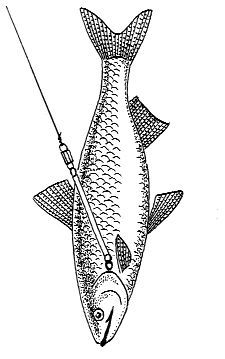 Александр Пышков, Сергей Смирнов - Ловля рыбы со льда
