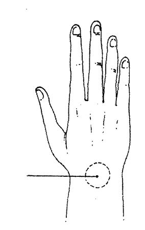 Николай Шерстенников - Семь горизонтов Силы