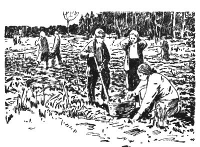 Агния Кузнецова - Жизнь зовет. Честное комсомольское