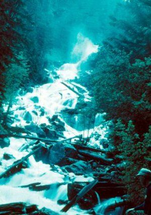 Евгений Буянов - Стихий безумные удары