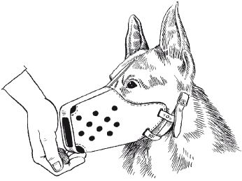 В. Гриценко - Перевоспитание собак