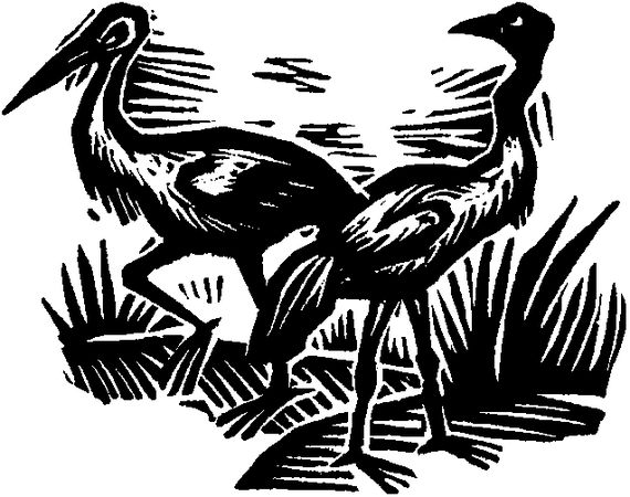 Народные сказки Народные сказки - Королева Лебедь. Литовские народные сказки