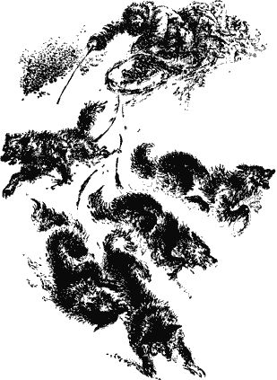 Юрий Крутогоров - Повесть об отроке Зуеве