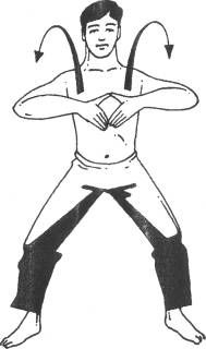 Николай Шерстенников - Семь горизонтов Силы