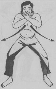 Николай Шерстенников - Семь горизонтов Силы