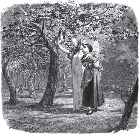 Якоб Гримм - Настоящие сказки братьев Гримм. Полное собрание