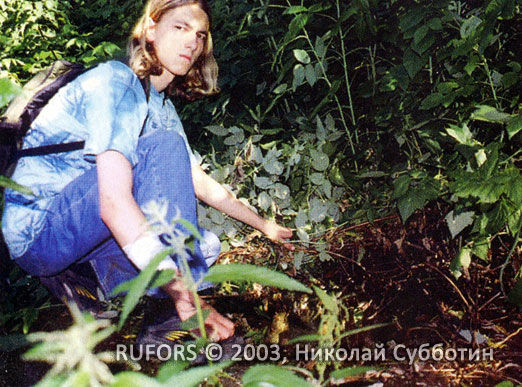 Николай Субботин - По ту сторону реальности (сборник)