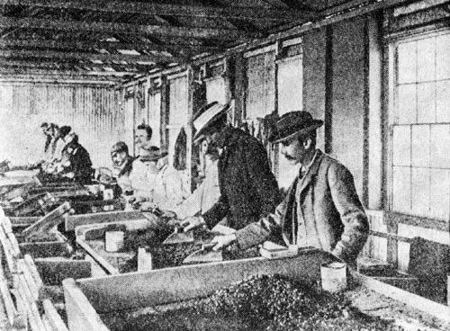 Фред Меркс - В поисках "голубой земли"