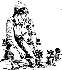 Анна Зорина - Календарь умного садовода и огородника