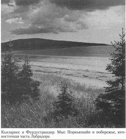 Гвин Джонс - Норманны. Покорители Северной Атлантики