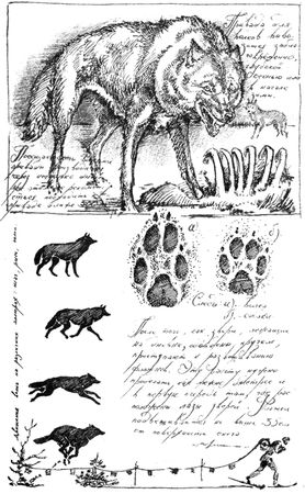 Алексей Сицко, Михаил Блюм и др. - Советы начинающему охотнику