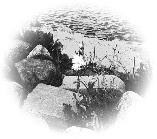 Владимир Леви - MEMENTO, книга перехода