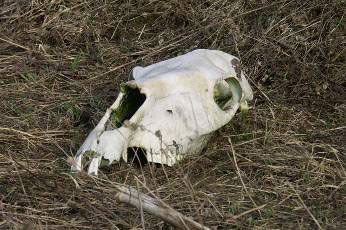 Николай Субботин - По ту сторону реальности (сборник)