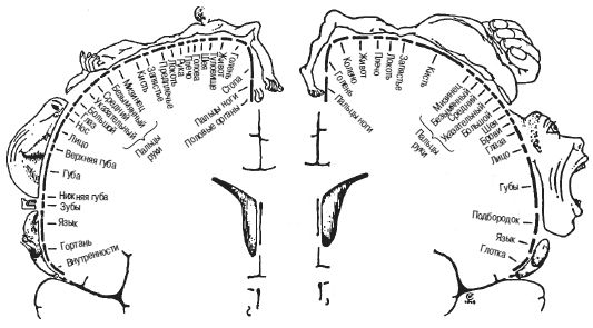 Роберт Дилтс, Джудит Делозье - НЛП-2: поколение Next