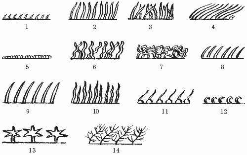 Ольга Шумахер, Оксана Петросян - Борьба с сорняками