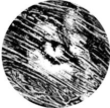 Кирилл Алейников - Дар речи (сборник)