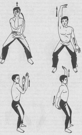 Николай Шерстенников - Семь горизонтов Силы