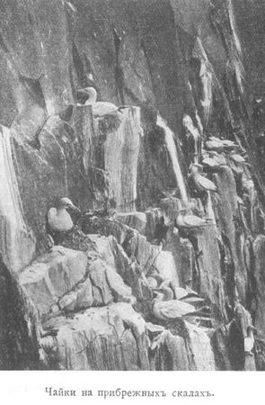 Сергей Дурылин - За полуночным солнцем