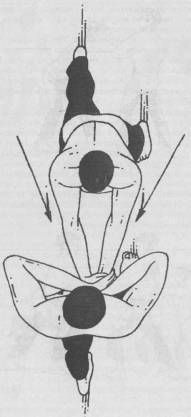 Николай Шерстенников - Семь горизонтов Силы