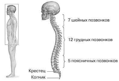 Роберт Дилтс, Джудит Делозье - НЛП-2: поколение Next