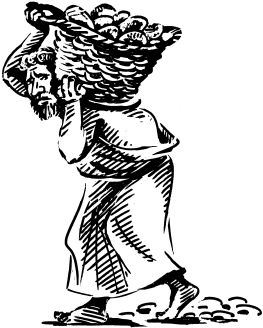 Елена Первушина - Исторические загадки Мюнхгаузена