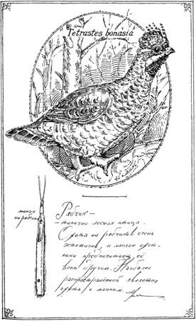 Алексей Сицко, Михаил Блюм и др. - Советы начинающему охотнику
