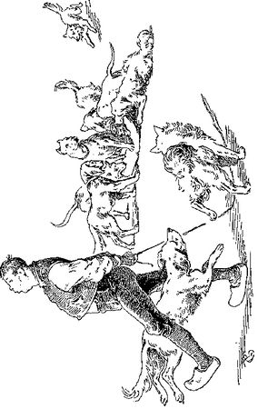 Якоб Гримм - Настоящие сказки братьев Гримм. Полное собрание