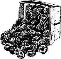 Анна Зорина - Календарь умного садовода и огородника