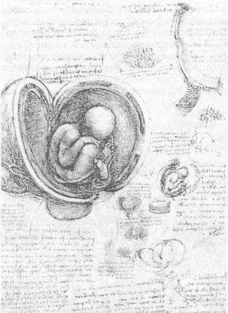 Мирослав Адамчик - 100 пророчеств Леонардо да Винчи