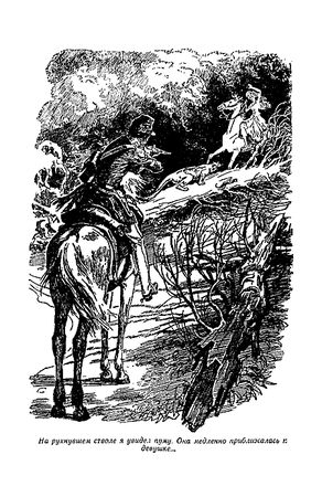 Томас Рид - Отважная охотница