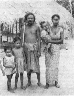 Илья Сучков - Краски далекого острова