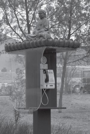 Алексей Маслов - Афоризмы и тайные речения Бодхидхармы