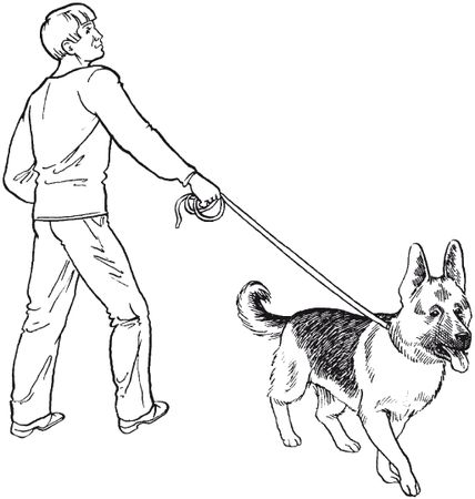 В. Гриценко - Перевоспитание собак