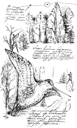 Алексей Сицко, Михаил Блюм и др. - Советы начинающему охотнику