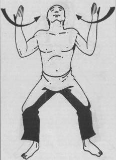 Николай Шерстенников - Семь горизонтов Силы